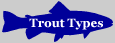 StreamFisherman.net - Types of Trout